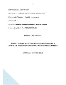 Raport de audit intern al modului de organizare a activității de tehnologia informației în entitatea publică - Pagina 2