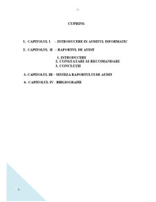 Raport de audit intern al modului de organizare a activității de tehnologia informației în entitatea publică - Pagina 3