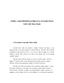 Analiza Competitivității și Prefigurarea Strategiei Băncii Unicredit Tiriac Bank - Pagina 4