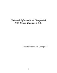 Sistemul Informatic al Companiei - SC Urban Electric SRL - Pagina 1