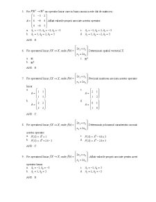 Grilă rezolvată 2008-2009 matematici aplicate în economie 1 - Pagina 2