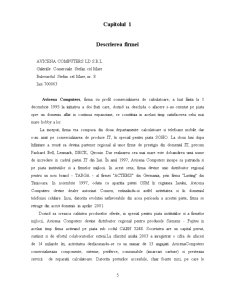 Proiect La Management - Avicena Computers LD SRL - Pagina 5