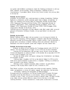 Plan de Marketing - Carlsberg - Pagina 3