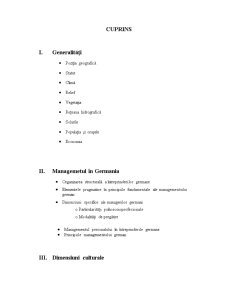 Management Comparat - Germania - Pagina 2
