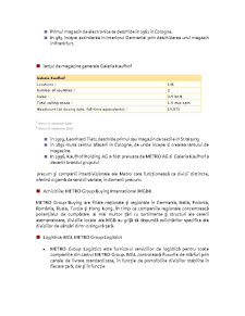 Analiza gradului de internaționalizare a companiei Metro Group - Pagina 5