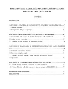 Fundamentarea, elaborarea, implementarea și evaluarea strategiei la SC Maxi-Sim SA - Pagina 1