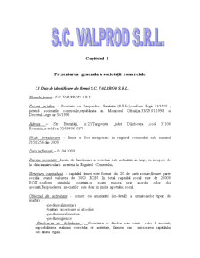 Contabilitatea mărfurilor la SC Val Prod SRL - Pagina 3