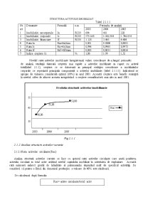 Analiza economico-financiară a SC Dantex SA - Pagina 3