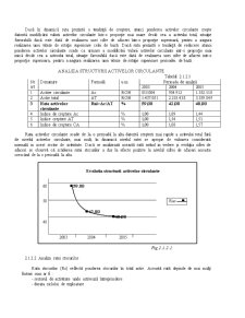 Analiza economico-financiară a SC Dantex SA - Pagina 4