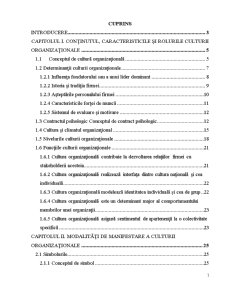 Aspecte ale culturii organizaționale în contextul managementului eficient - Pagina 1