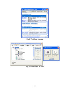 Proiectarea unei Baze de Date în Visual Fox Pro pentru Registru Jurnal și Facturi Emise - Pagina 3