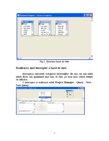 Proiectarea unei Baze de Date în Visual Fox Pro pentru Registru Jurnal și Facturi Emise - Pagina 5
