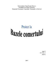 Analiza activității comerciale la nivelul ONG - AIESEC Brașov - Pagina 1