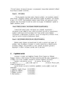 Economia întreprinderii - brichete și peleți Râșnov SRL - Pagina 3