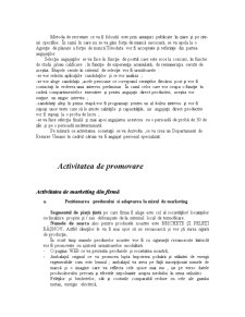 Economia întreprinderii - brichete și peleți Râșnov SRL - Pagina 5