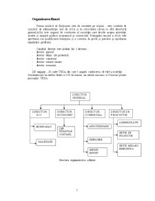 Proiectarea sistemului informațional al departamentului comercial - SC Confecții și Textile SA Pașcani - Pagina 5