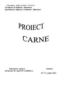 Proiectarea secției pentru conservă Corned Beff - Pagina 1