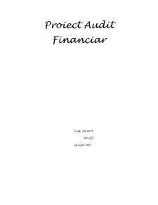 Proiect Audit Financiar - Pagina 1