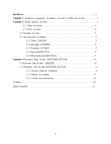 Proiectarea unui Sistem Informatic pentru Gestionarea Stocurilor - Pagina 2