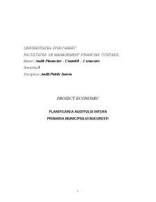 Planificarea auditului intern - Primăria Municipiului București - Pagina 2