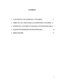 Raport de expertiză contabilă - extrajudiciară - Pagina 3