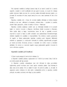 Raport de Expertiza Contabila - Extrajudiciara - Pagina 5