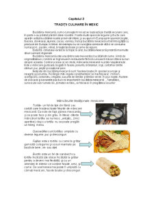 Mexic, Taditii și Obiceiuri Culinare - Pagina 3