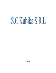 Proiecte economice în comerț - SC Kubika SRL - Pagina 1