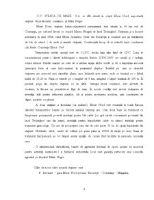 Analiza comercială la SC Steaua de Mare SA - Pagina 4