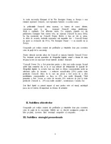 Analiza pieței și obiectivele firmei - Duracell - Pagina 4