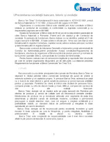 Monografie Banca Țiriac - Pagina 3