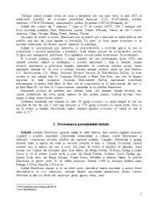 Valorificarea Potențialului Turistic al Județului Hunedoara - Pagina 3