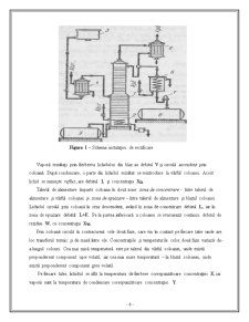 Instalație de Separare a Amestecurilor Lichide Omogene prin Rectificare Continuă - Pagina 5