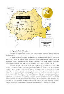 Roșia Montană - Pagina 4