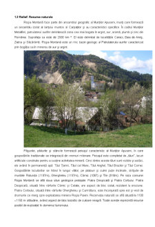 Roșia Montană - Pagina 5