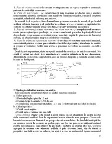 Instabilitate macroeconomică - Pagina 2