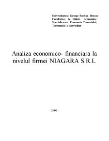 Analiza economico-financiară la nivelul firmei Niagara SRL - Pagina 1