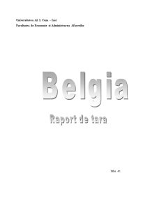 Promovarea unui Produs în Belgia - Pagina 1
