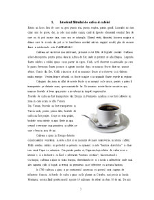 Proiect Filtru de Cafea - Pagina 3
