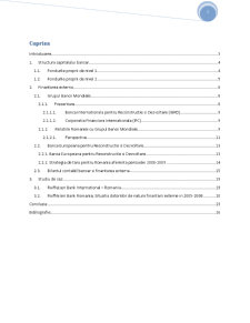 Importanța resurselor de finanțare externă în activitatea bancară - studiu de caz - Raiffeisen Bank România - Pagina 2