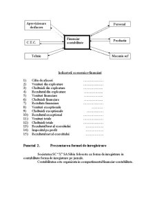 Practică contabilitate financiară - Pagina 4
