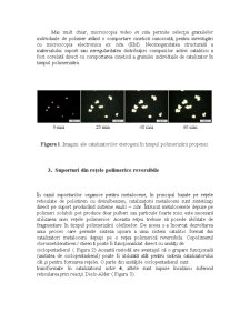 Sinteza unor Materiale Termoplastice cu Microstructură Controlată Utilizând Catalizatori Metaloceni Combinați Selectiv pe un Sistem Suport - Pagina 5