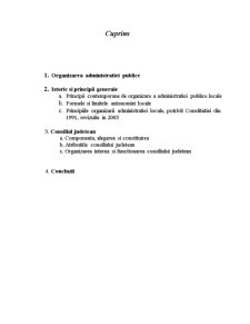 Autoritățile administrației publice - Pagina 2
