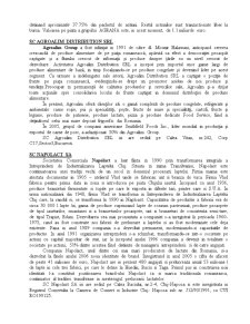 Practică SC CDE Interex SA - Pagina 4
