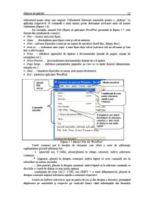 Sisteme de Operare - Pagina 23