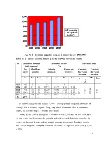Analiza evoluției serviciilor de comerț în România 2003-2007 - Pagina 4