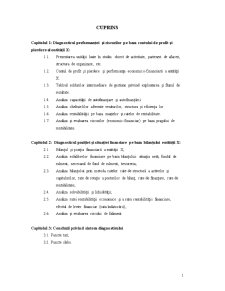 Proiect Oltchim - Analiza Indicatorilor Economico-Financiari - Pagina 1