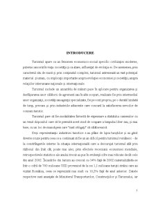 Rolul Contractelor în Turism. Studiu de Caz - SC Dalin SRL - Pagina 3