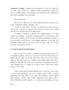 Analiza firmă de logistică - Nichi - Pagina 3