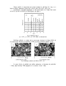 Ceramici Nanostructurate din BaTiO3 - Pagina 5